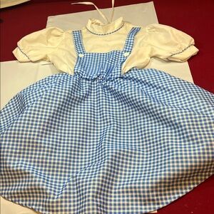 Dorothy Costume Blue Checked Dress Wizard of oz women standard size puffy skirt